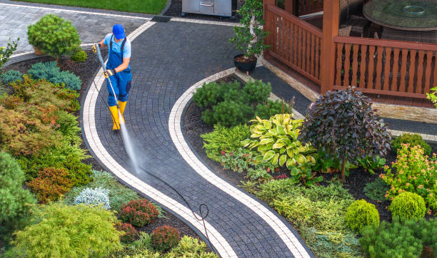 Best Pressure Washing Siding  in Blanchester, OH